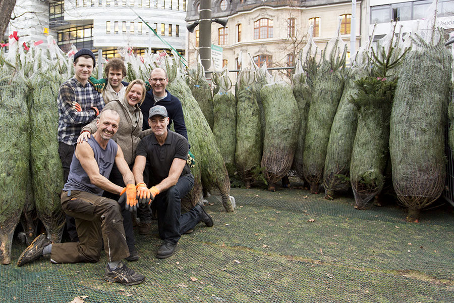 Team Weihnachtsbaum Basel